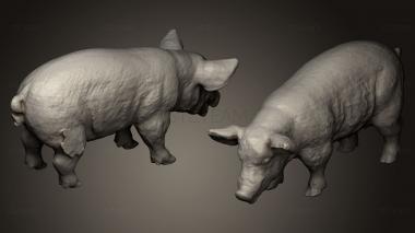 3D model Mangalica (STL)